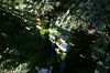 gal/Ville_Propre/_thb_OPERATION DECHETS LAMBRES 079.JPG
